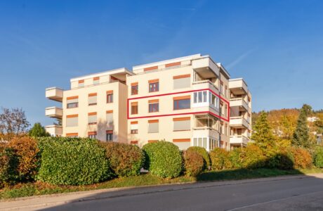 Wohnung in Zufikon