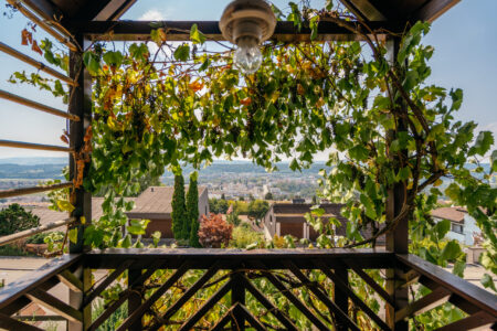 Reiheneinfamilienhaus in Zufikon