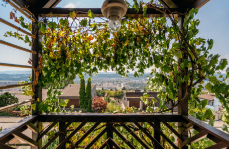 Reiheneinfamilienhaus in Zufikon